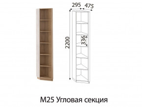 М25 Угловая секция в Сухом Логу - suhoj-log.magazin-mebel74.ru | фото