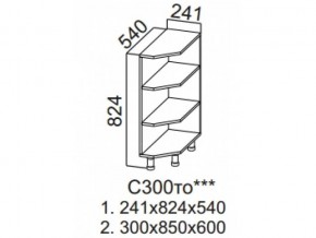 С300то Стол-рабочий 300 (торцевой открытый) в Сухом Логу - suhoj-log.magazin-mebel74.ru | фото