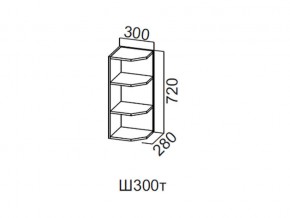 Ш300т/720 Шкаф навесной 300/720 (торцевой) в Сухом Логу - suhoj-log.magazin-mebel74.ru | фото