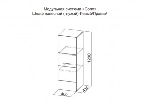 Шкаф навесной (глухой) Левый в Сухом Логу - suhoj-log.magazin-mebel74.ru | фото