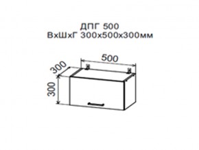 Шкаф верхний ДПГ500 горизонтальный в Сухом Логу - suhoj-log.magazin-mebel74.ru | фото