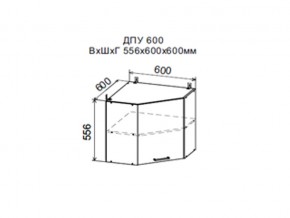 Шкаф верхний ДПУ600 угловой в Сухом Логу - suhoj-log.magazin-mebel74.ru | фото