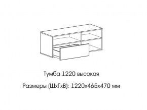 Тумба 1220 (высокая) в Сухом Логу - suhoj-log.magazin-mebel74.ru | фото